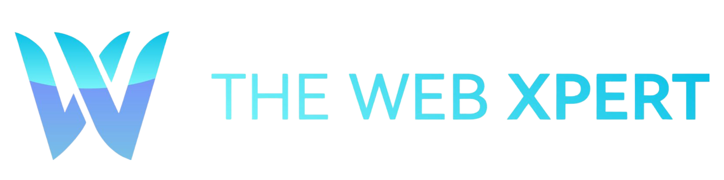 The Web Xpert